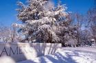 American University sign covered in snow